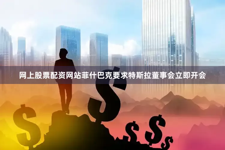 网上股票配资网站菲什巴克要求特斯拉董事会立即开会
