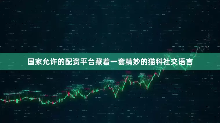 国家允许的配资平台藏着一套精妙的猫科社交语言