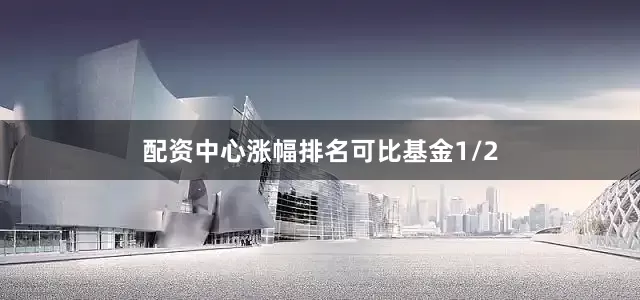 配资中心涨幅排名可比基金1/2