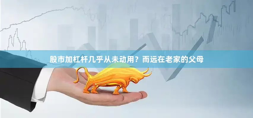 股市加杠杆几乎从未动用？而远在老家的父母