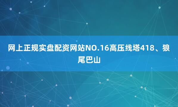 网上正规实盘配资网站NO.16高压线塔418、狼尾巴山