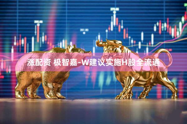 涨配资 极智嘉-W建议实施H股全流通